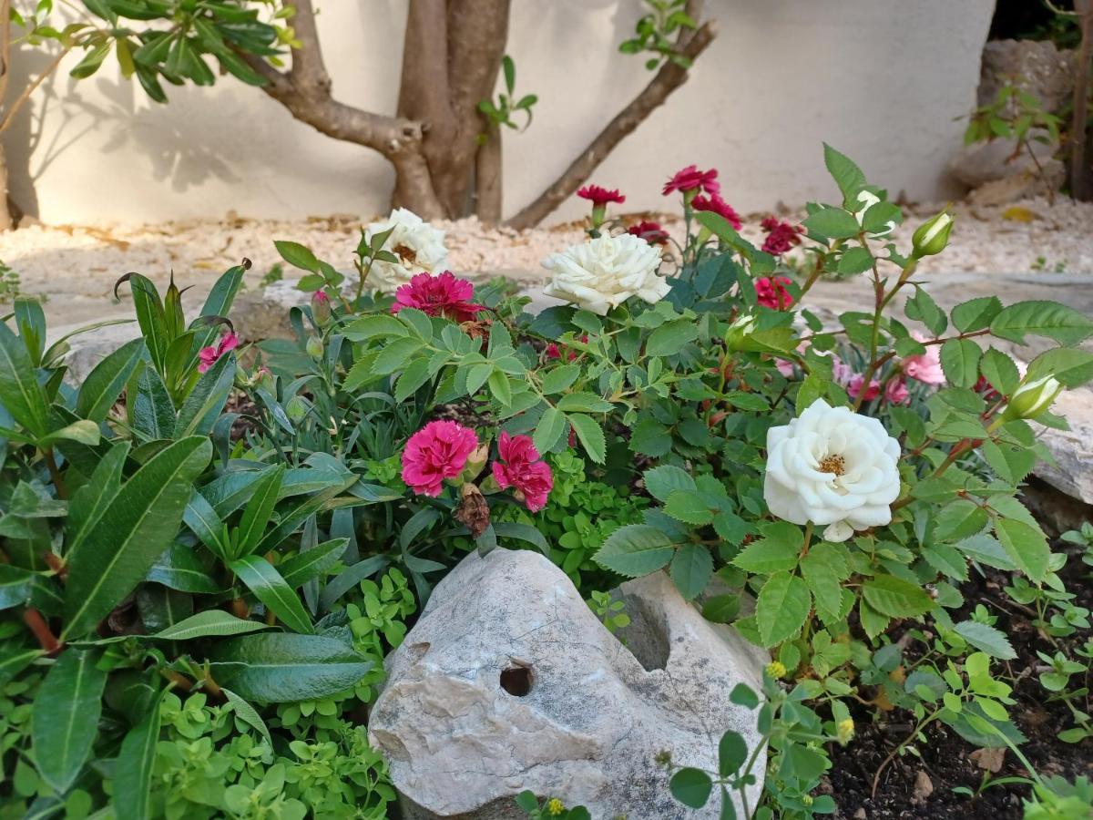 Apartmani Milena Barbat na Rabu Exterior foto